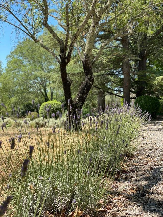 Domaine De Bonelli Hotel Conqueyrac ภายนอก รูปภาพ